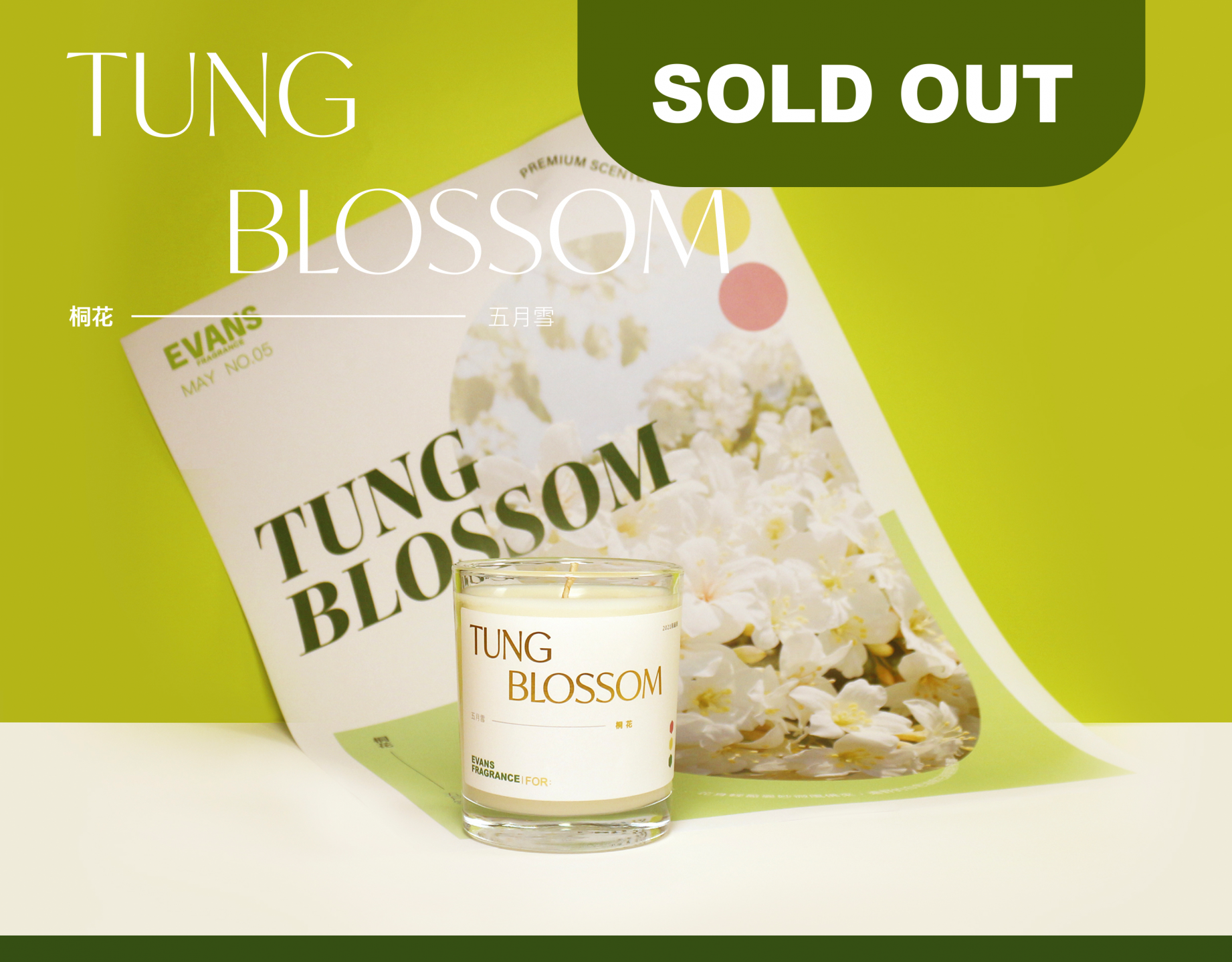 21年5月限量版｜桐花季